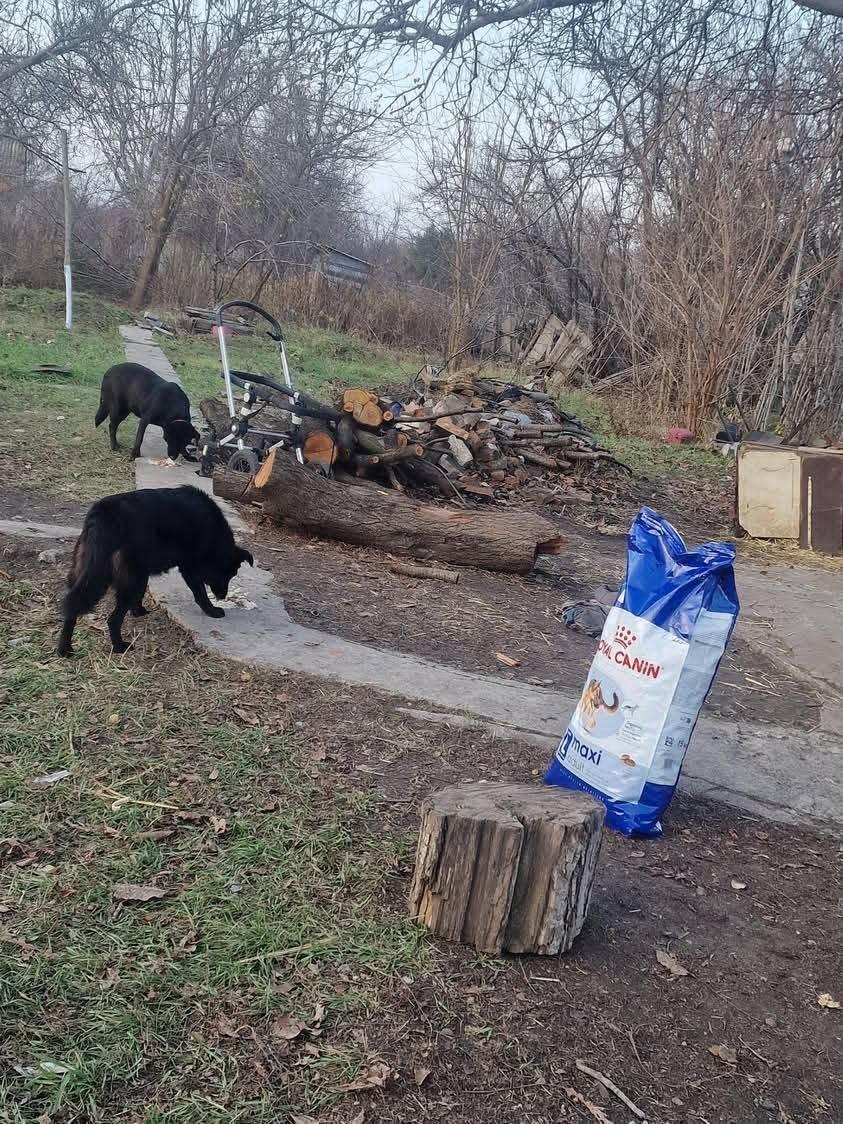 Лапа підтримки 2