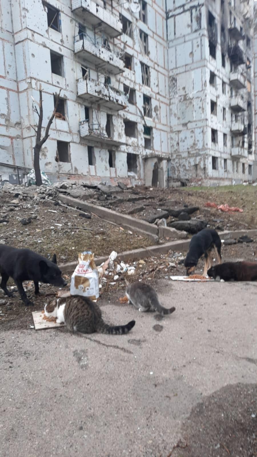 Лапа підтримки 3