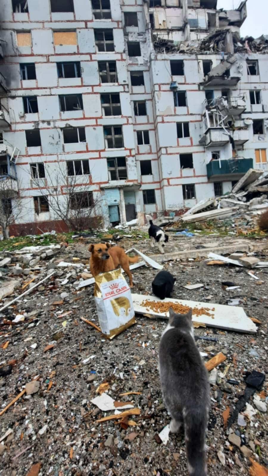 Лапа підтримки 5