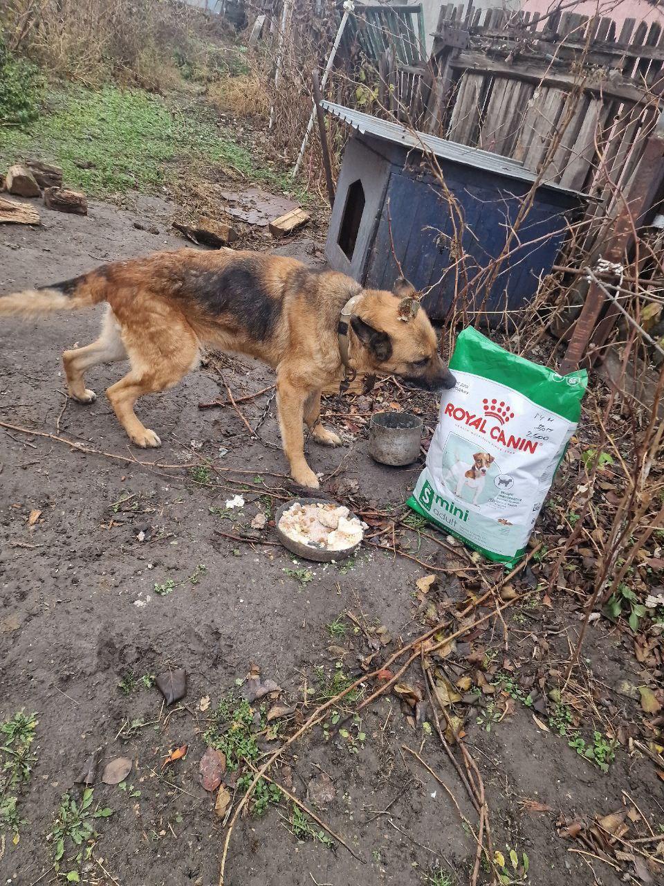 Лапа підтримки 7