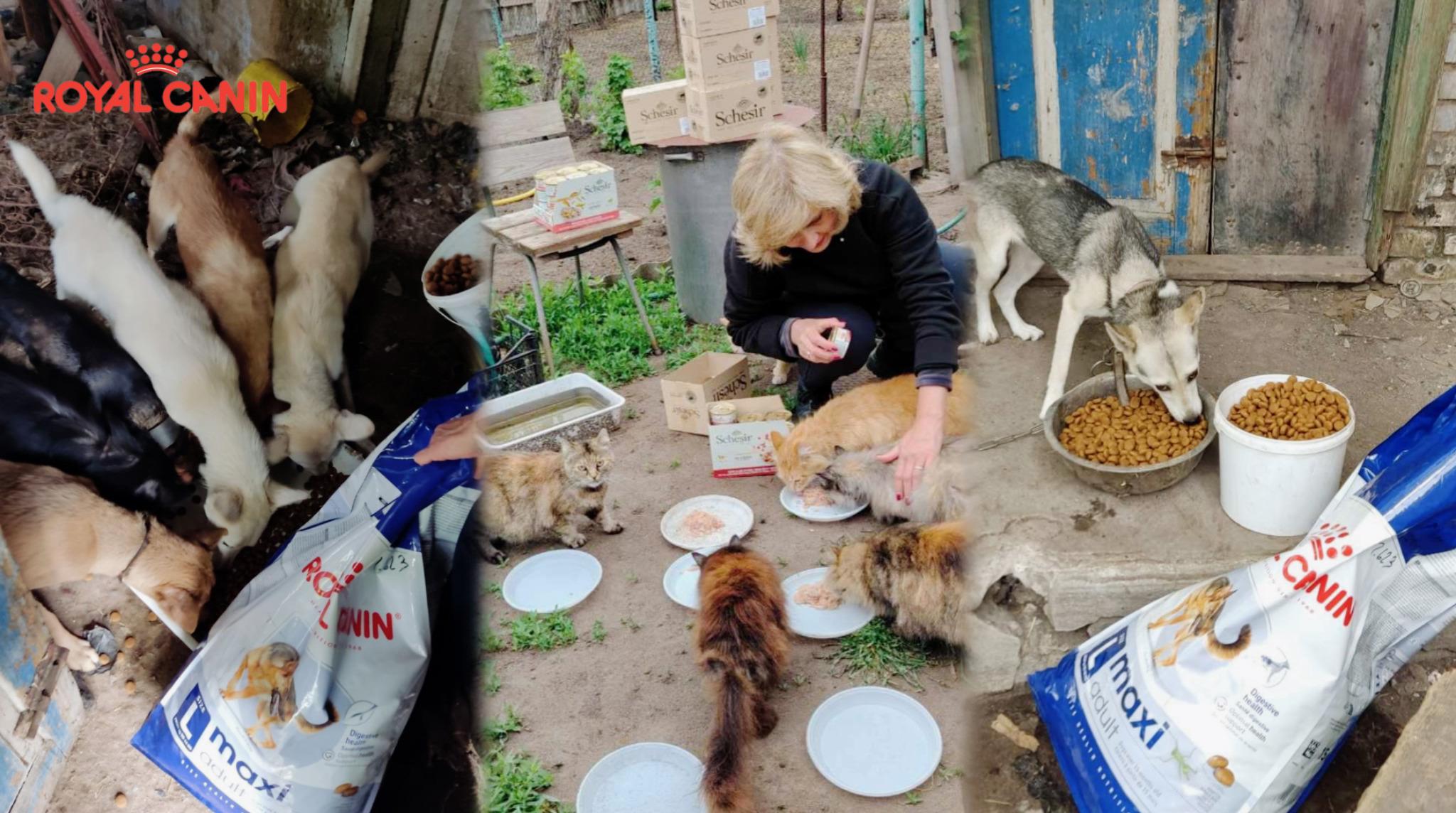 Лапа підтримки від Royal Canin. Vol 2image
